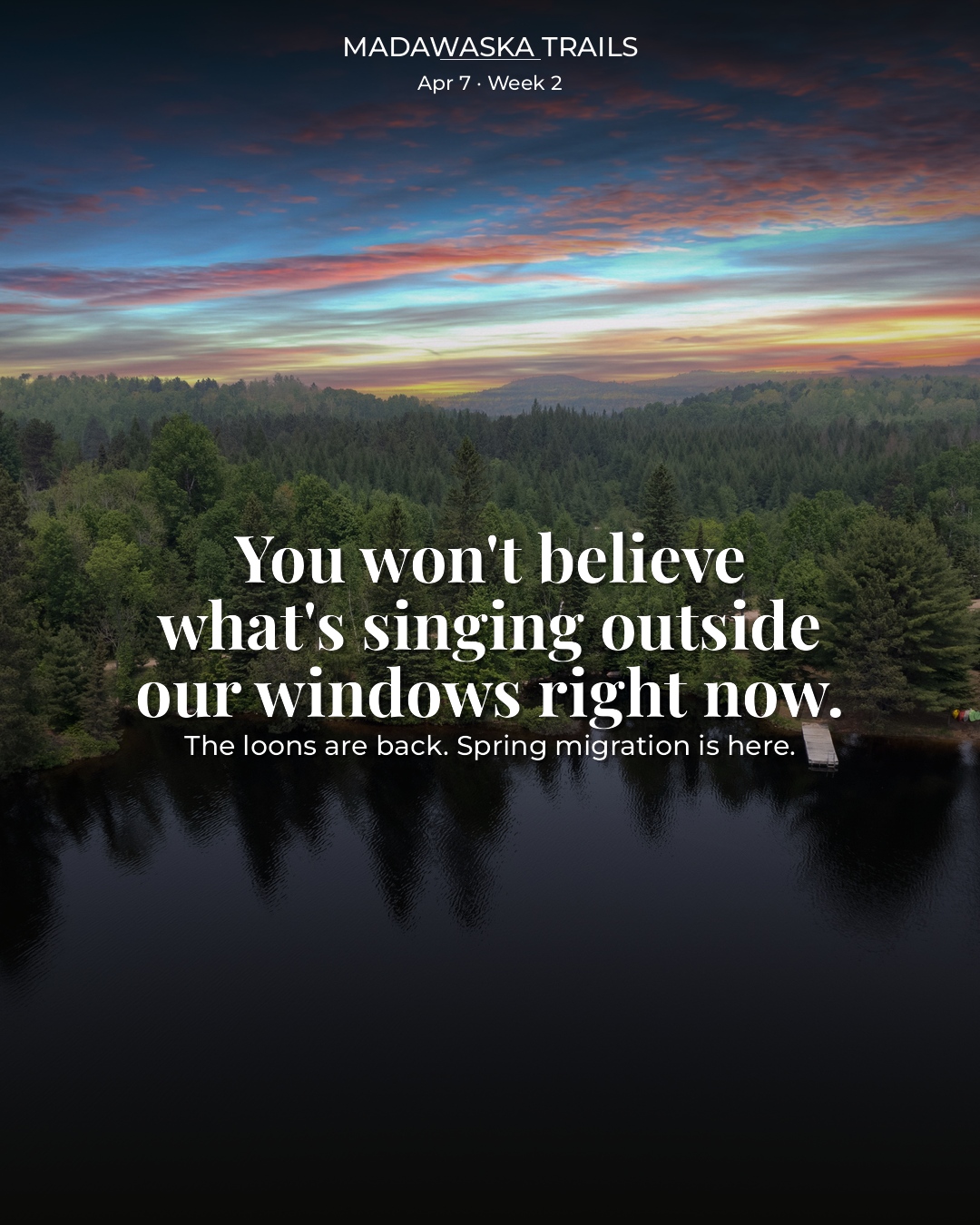 @actulloch social media design